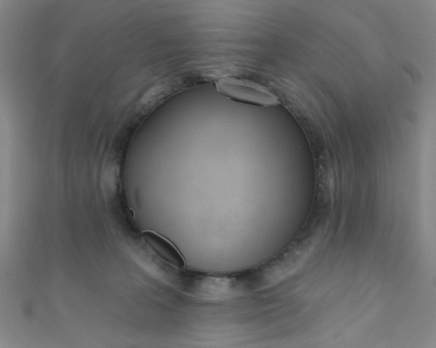 X0000110980227200907022103