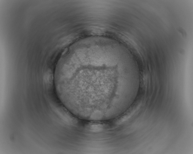 X0000110980228200907022103