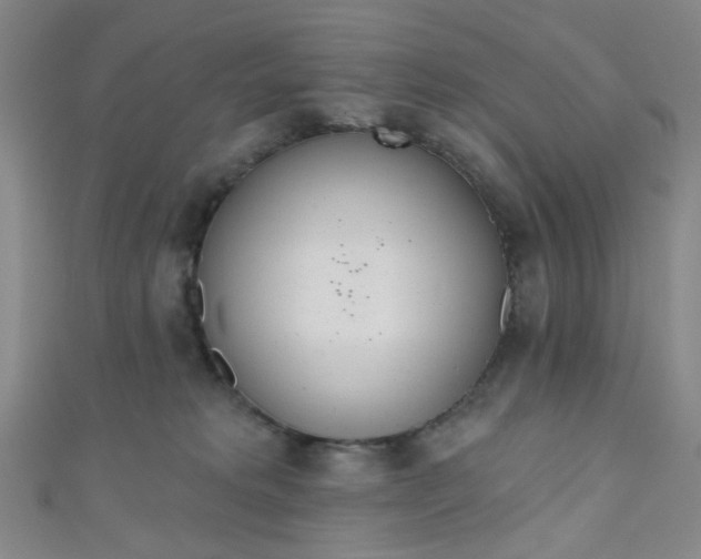 X0000110980229200907022103