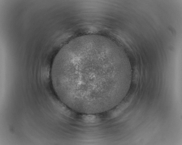 X0000110980230200907022103