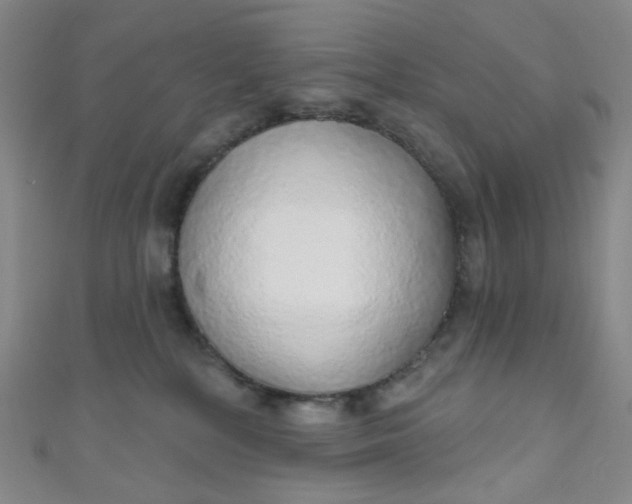 X0000110980232200907022103