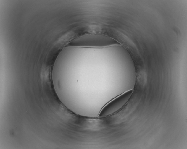 X0000110980233200907022103