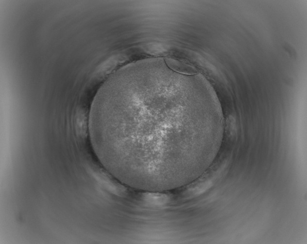 X0000110980234200907022103