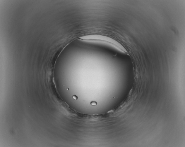 X0000110980235200907022103