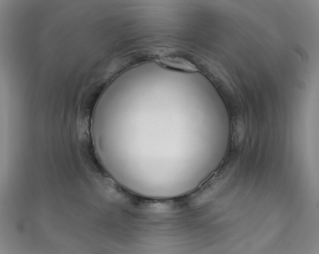 X0000110980236200907022103