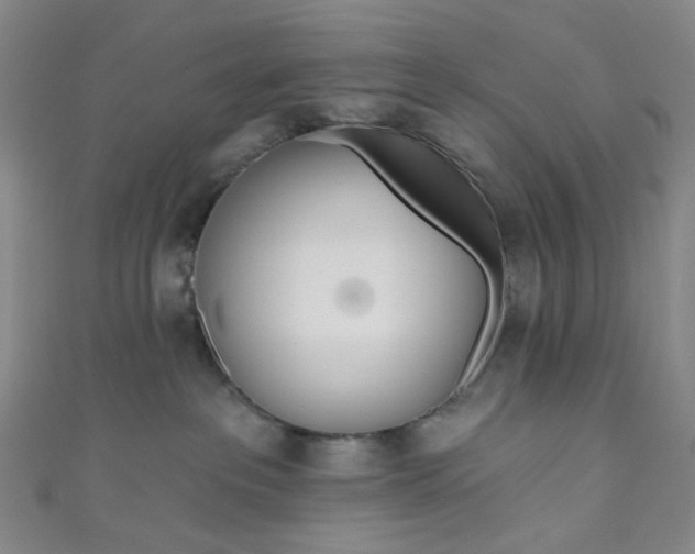 X0000110980237200907022103