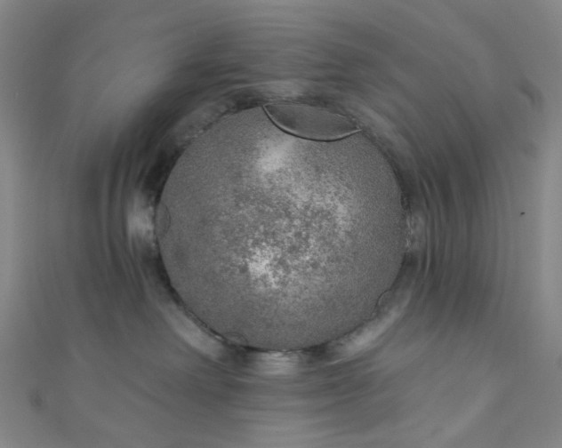 X0000110980238200907022103