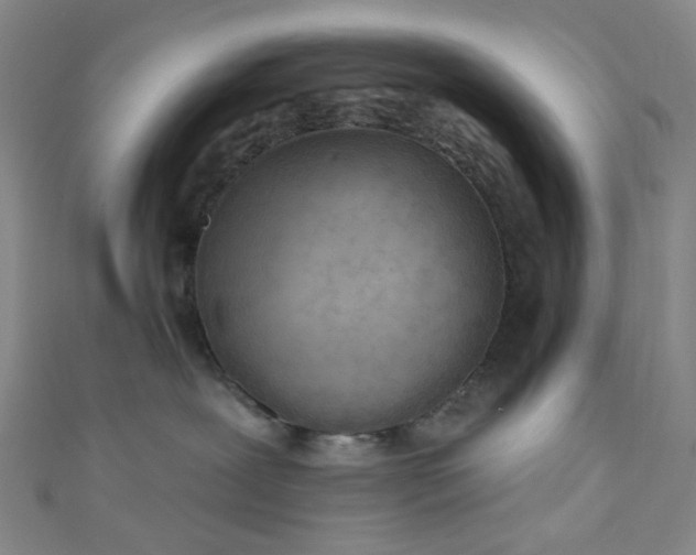 X0000110980239200907022103