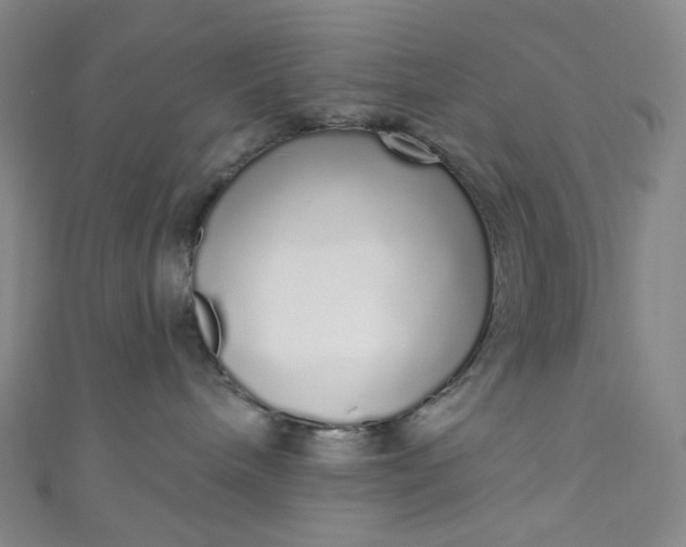 X0000110980240200907022103