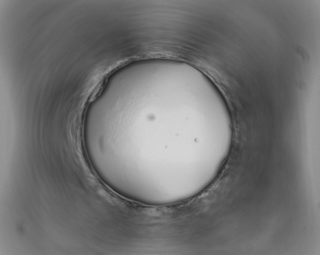 X0000110980241200907022102