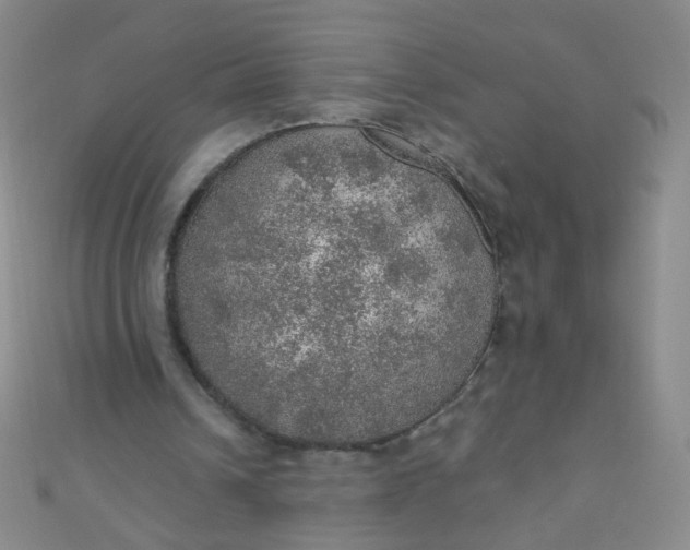 X0000110980242200907022102