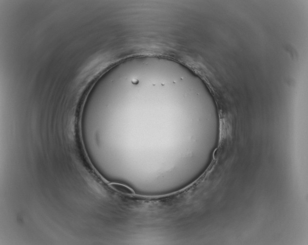 X0000110980243200907022102