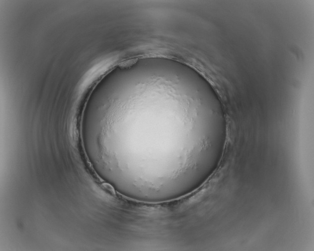 X0000110980245200907022102