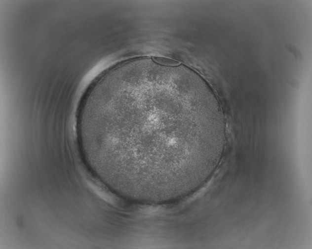 X0000110980246200907022102