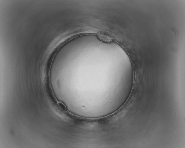 X0000110980247200907022102