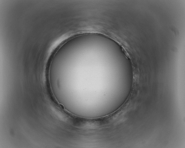 X0000110980248200907022102