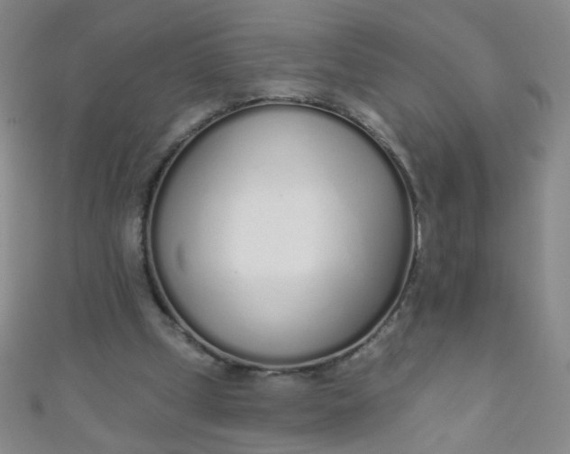 X0000110980249200907022102