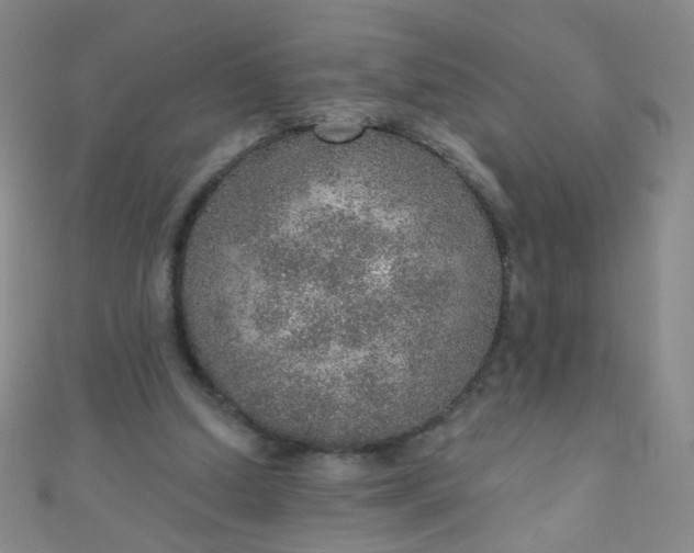 X0000110980250200907022102