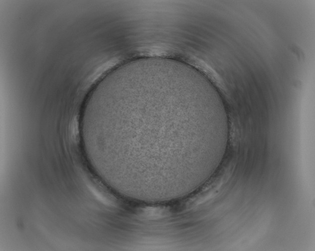 X0000110980251200907022102