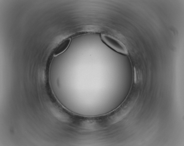 X0000110980252200907022102