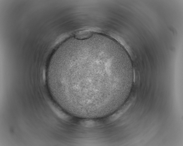 X0000110980253200907022102