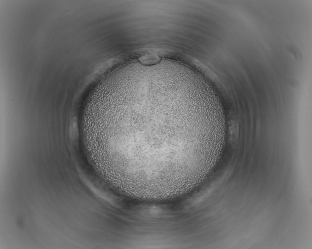 X0000110980254200907022102