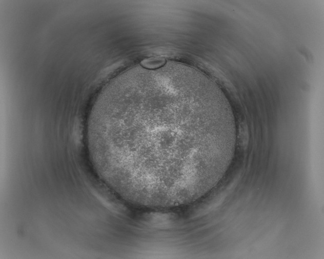 X0000110980255200907022102