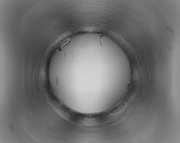 X0000110980256200907022102