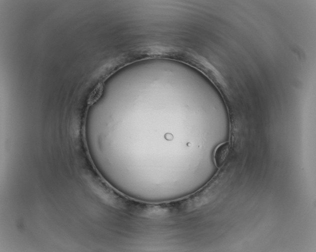 X0000110980257200907022102