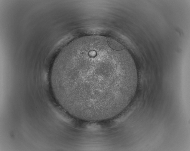 X0000110980258200907022102