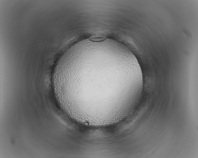 X0000110980259200907022102