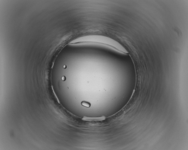 X0000110980260200907022102