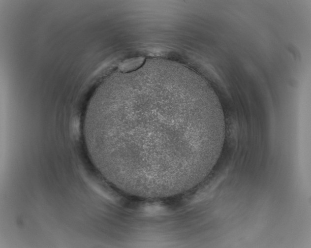 X0000110980262200907022102