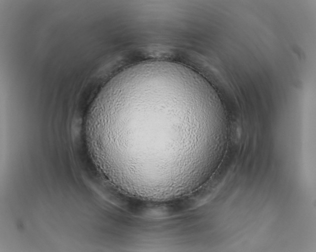 X0000110980263200907022102