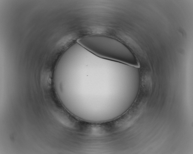 X0000110980264200907022102