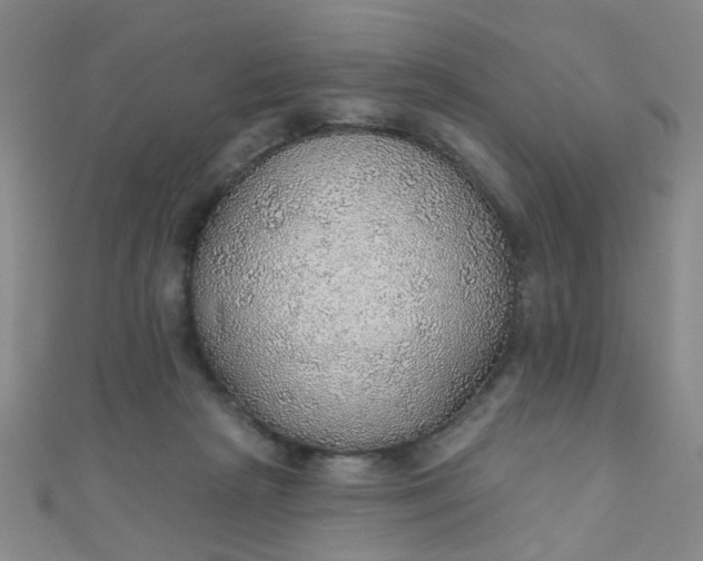 X0000110980265200907022102