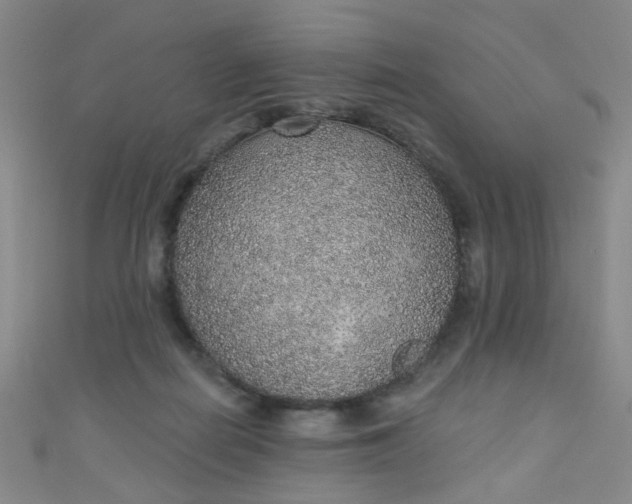 X0000110980266200907022102