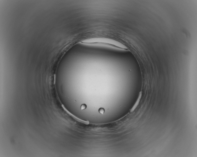 X0000110980268200907022102