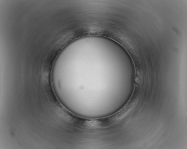 X0000110980269200907022102