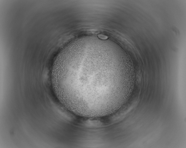 X0000110980270200907022102