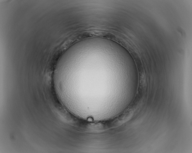 X0000110980271200907022102