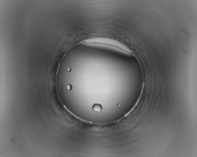 X0000110980272200907022102