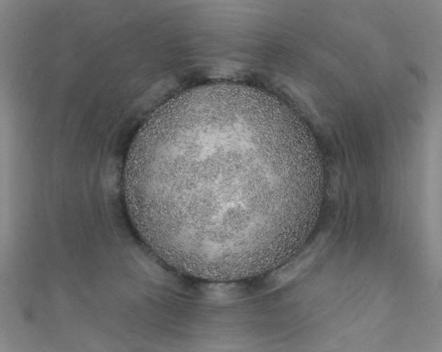 X0000110980273200907022102