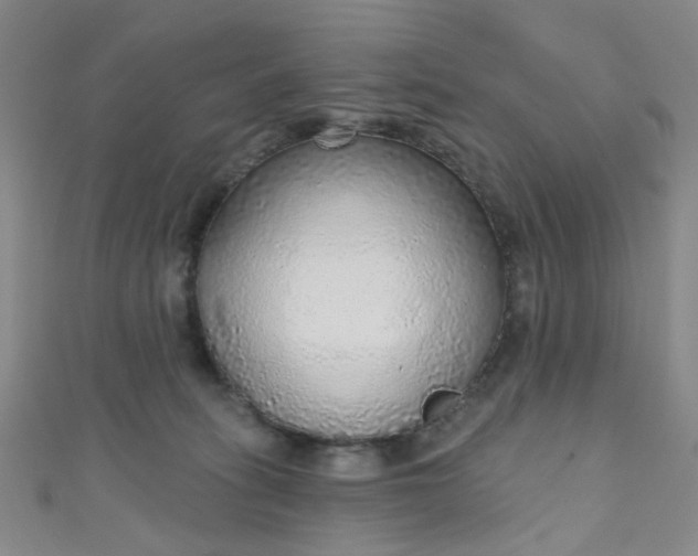 X0000110980275200907022102