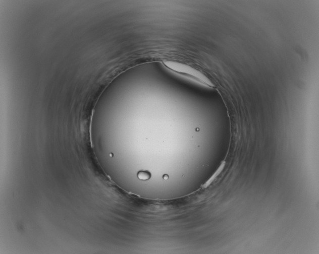 X0000110980276200907022102