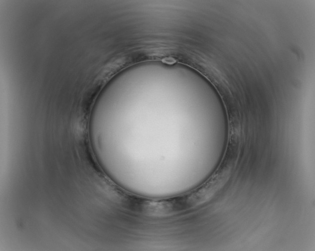 X0000110980277200907022102