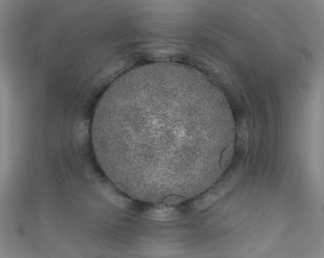 X0000110980278200907022102