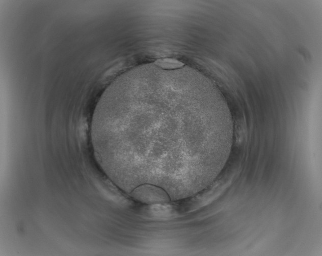 X0000110980279200907022102