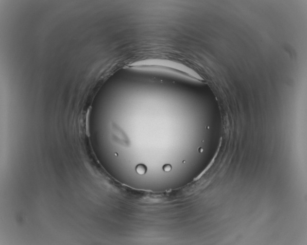 X0000110980280200907022102