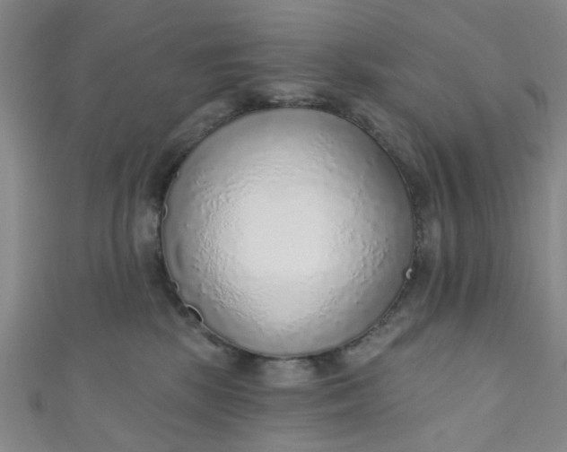 X0000110980281200907022102